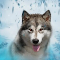 1500-Beautiful-Amazing-Mixed-Wallpapers-Tenebra_01-64